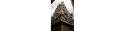 ஸ்ரீ தண்டு மாரியம்மன் - கோவை - தமிழ்நாடு
